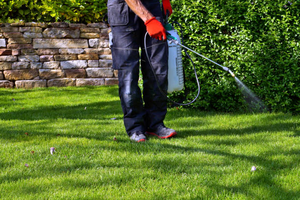 Best Emergency Pest Control  in Hayward, WI